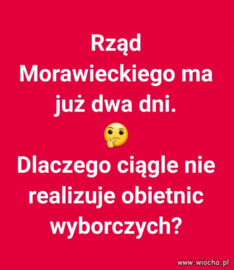 No właśnie.  Do roboty pisowskie nygusy!!!