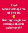 No właśnie.  Do roboty pisowskie nygusy!!!