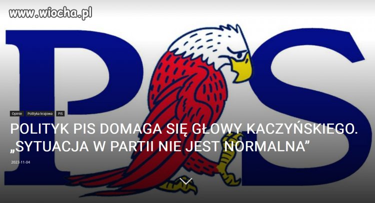 W PiSie panika, niebawem sami sie zagryza...