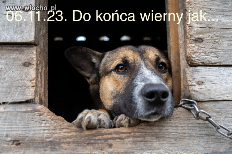 Trochę polityki...