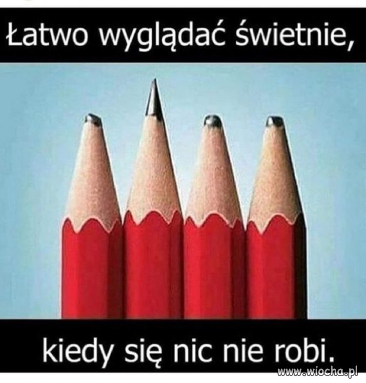 Z tego lenie są dumni najbardziej