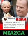 Nic dodać, nic ująć