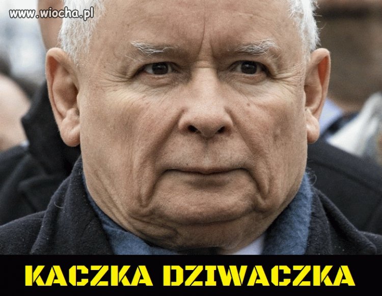 Wypisz, wymaluj