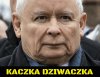 Wypisz, wymaluj