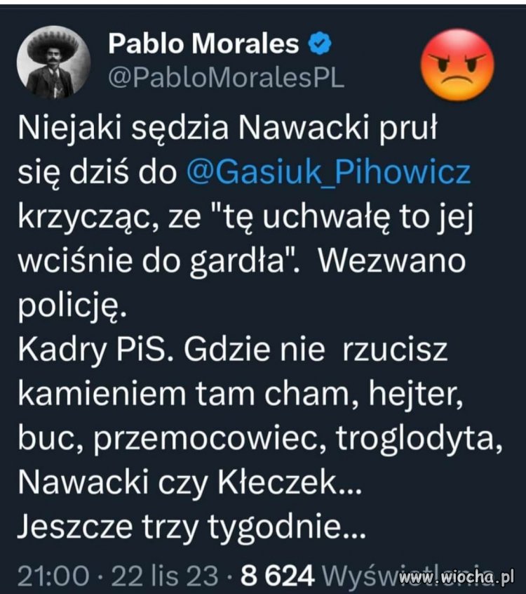 PiS w pigułce 
