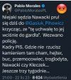 PiS w pigułce 