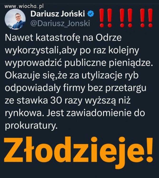 Pisowska mafia