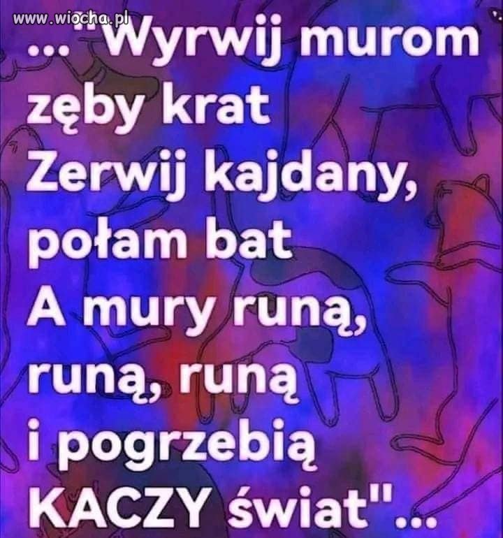 Blisko, coraz bliżej...