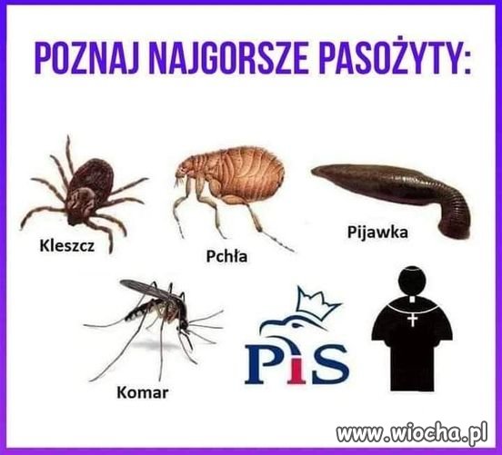 Potwierdzam