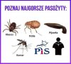 Potwierdzam