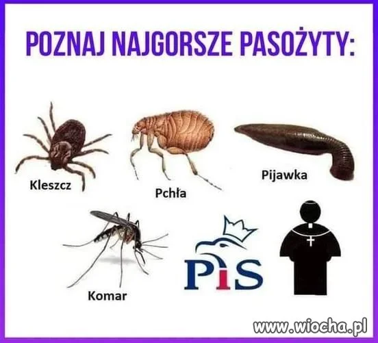Potwierdzam