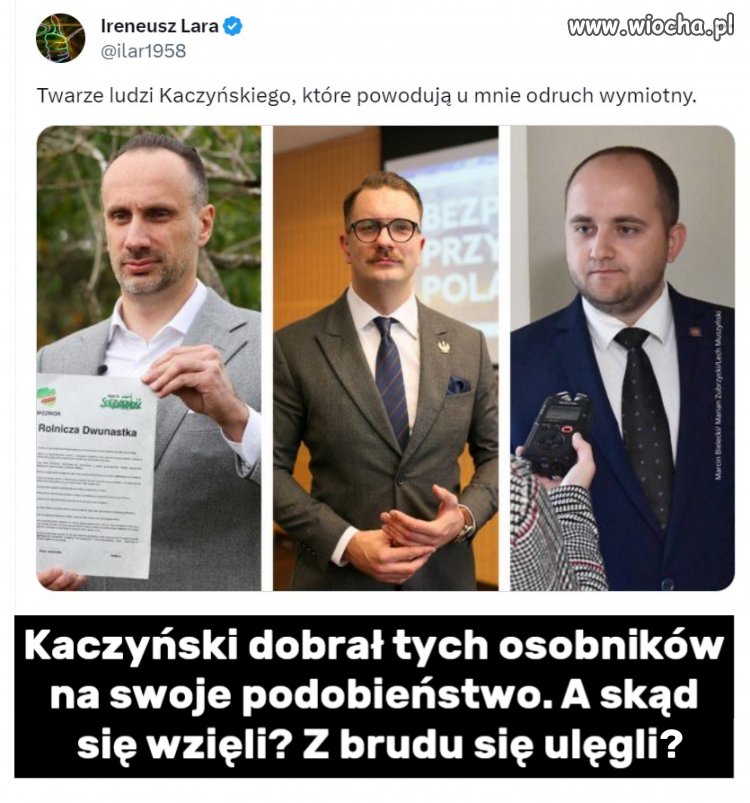 Wg mnie, brakuje jeszcze glonojada oskarka.
