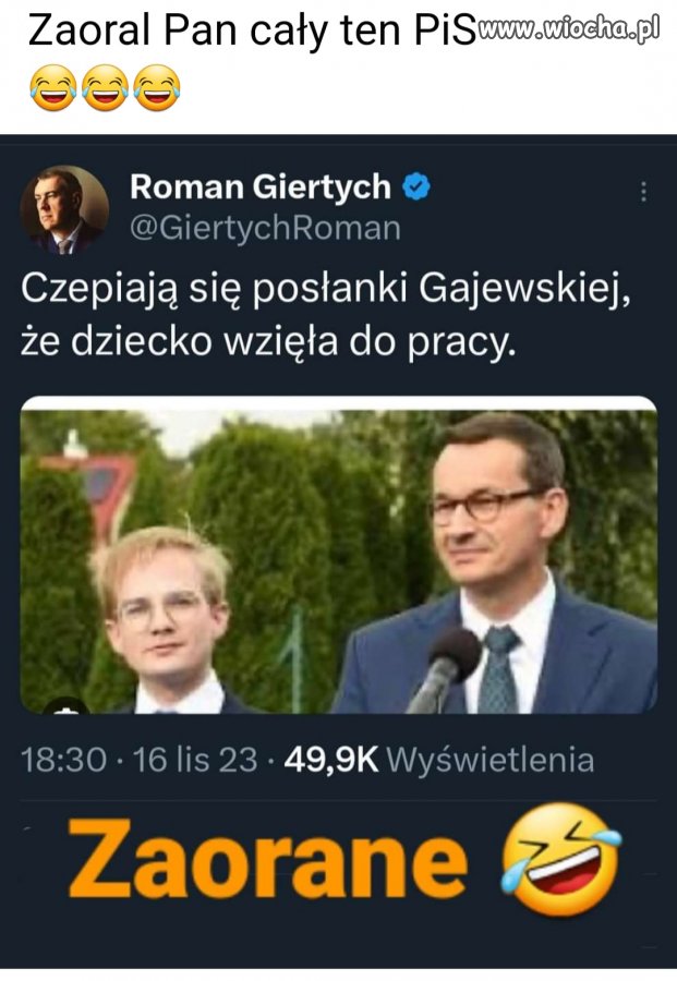 Piękna orka po pisowskich debilach