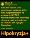 Pisowskie zakłamanie