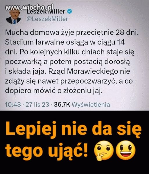 Leszek zaorał