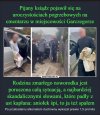 Jak nie pedofil, to alkoholik taka degeneracja  KK