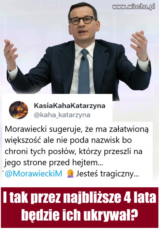 Baśnie z mchu i paproci