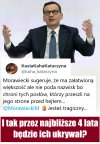 Baśnie z mchu i paproci