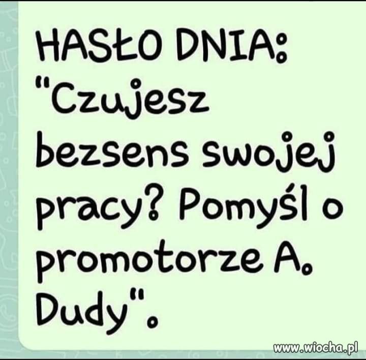 Potwierdzam