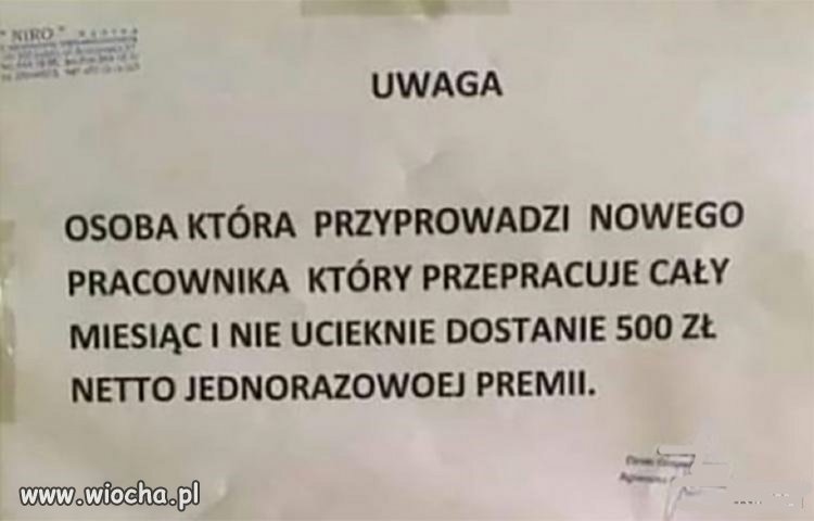 Praca marzeń