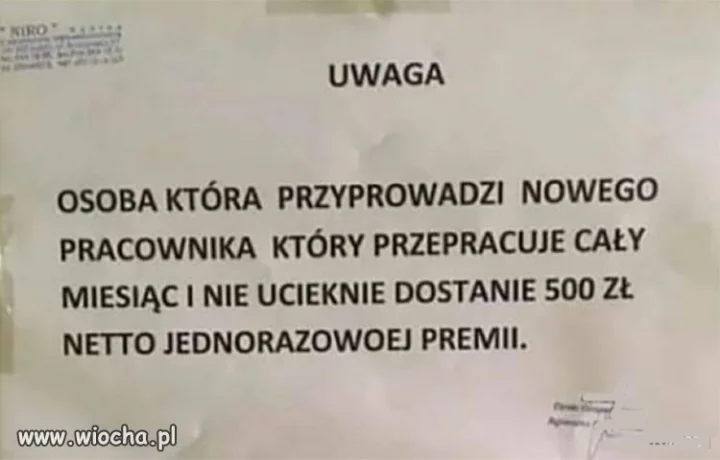 Praca marzeń
