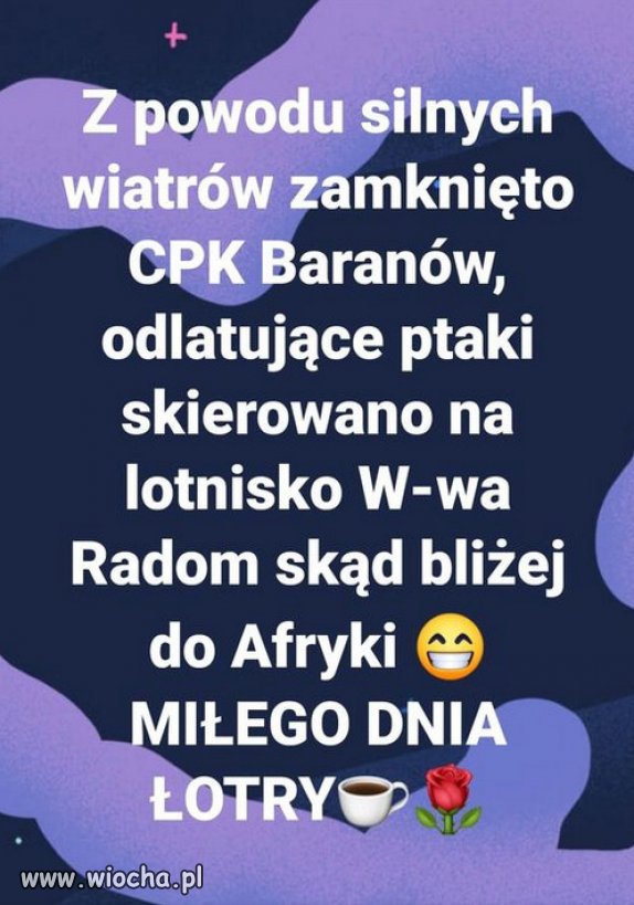 Ale jaja... Nie bedzie litosci dla holoty PiSU!