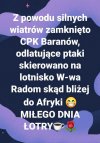 Ale jaja... Nie bedzie litosci dla holoty PiSU!
