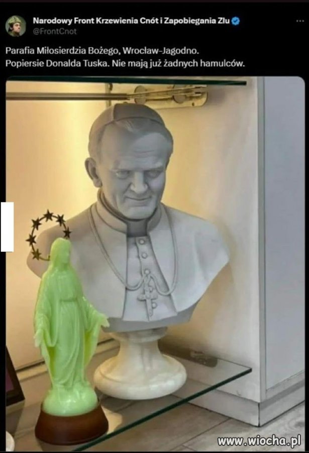 Zero skromności