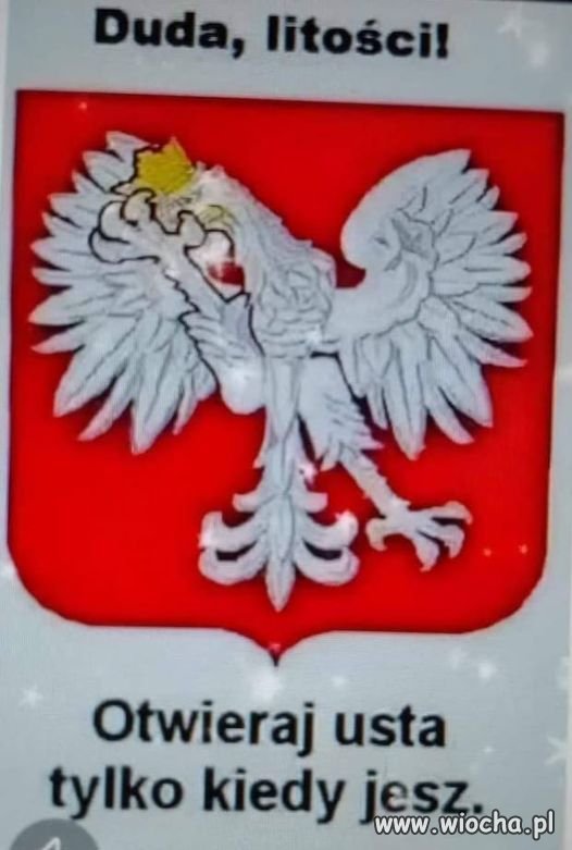 Bez komentarza