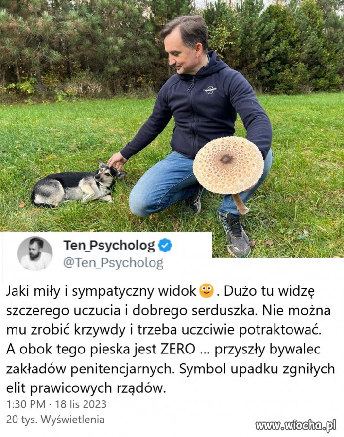 Grzybobranie z ochroną i pistolecikiem w gatkach?