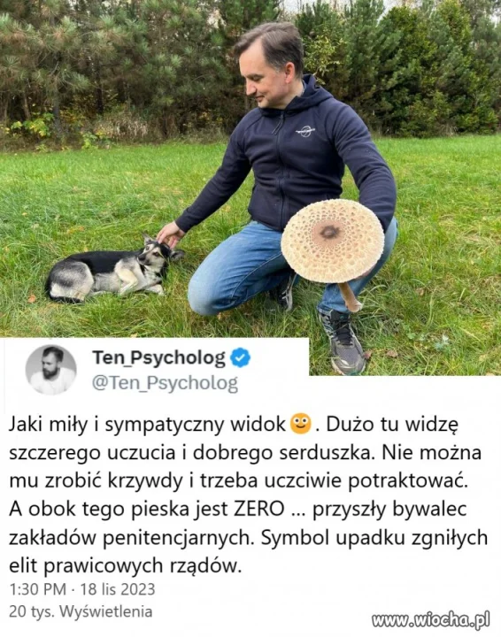 Grzybobranie z ochroną i pistolecikiem w gatkach?