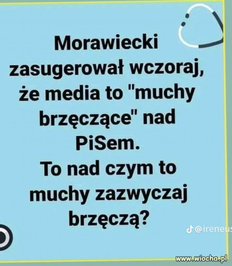 Mateusz wie co mówi