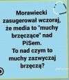 Mateusz wie co mówi