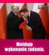 Rezydent 