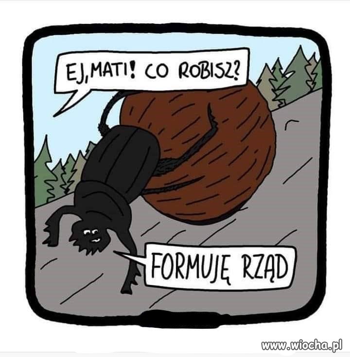 Tytuł zbędny jest.