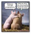 Cały PiS