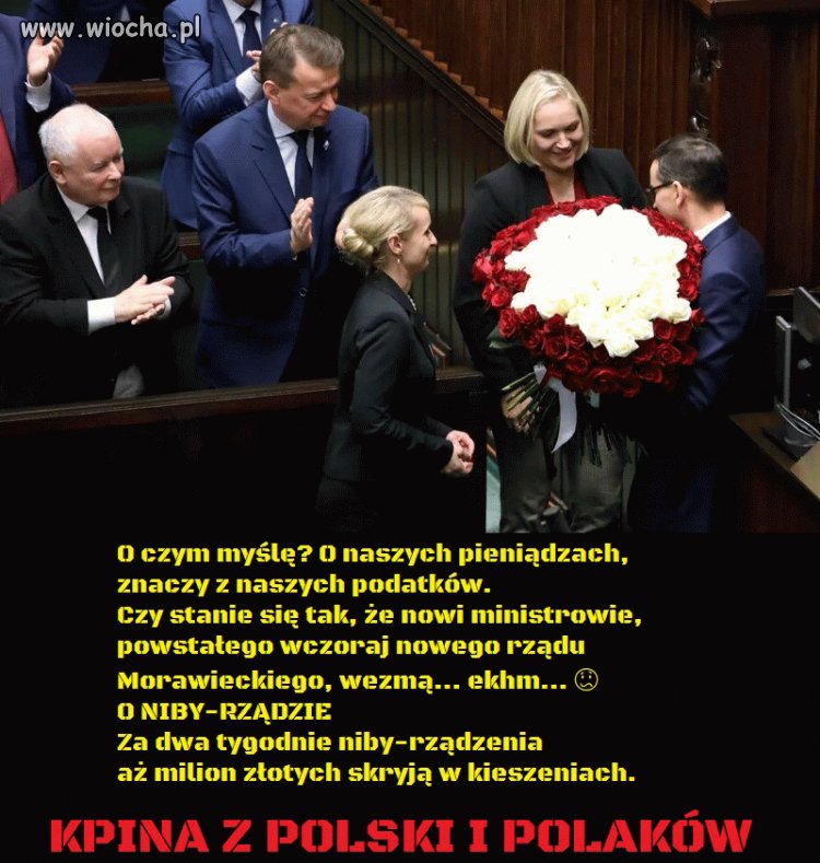 Żenada pisowska