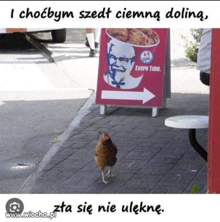 Codziennie świeże 