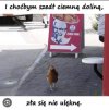 Codziennie świeże 