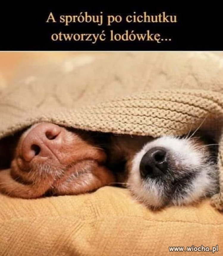 Muzyka może grać