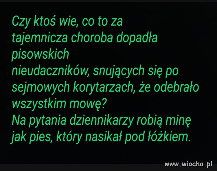 Ciekawe pytanie, ale chyba znamy odpowiedź!