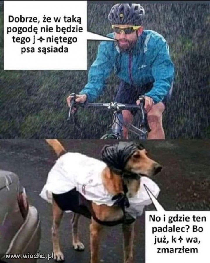 Pedalarzy nikt nie lubi