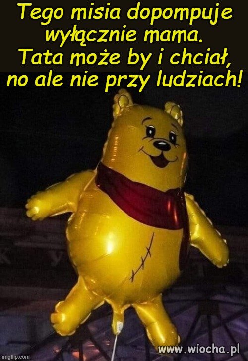 To jest Miś.