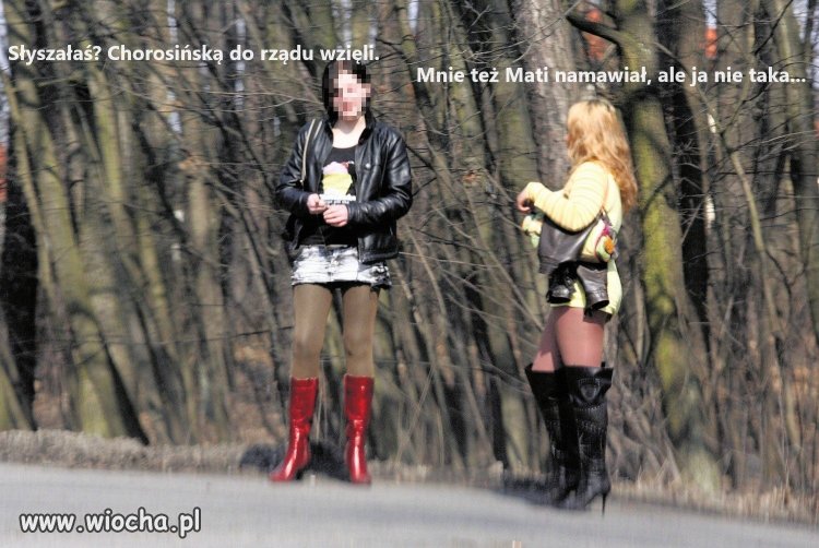 Dwutygodniowy Nie-rząd.