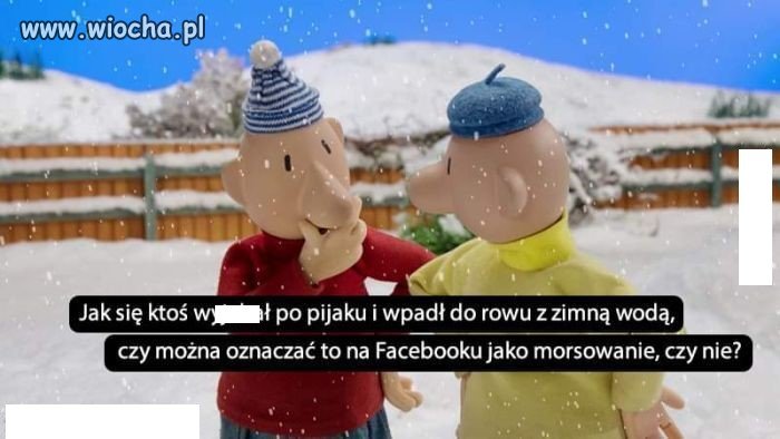 Zbliża się sezon na morsy