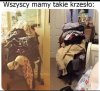 Albo drzwi 