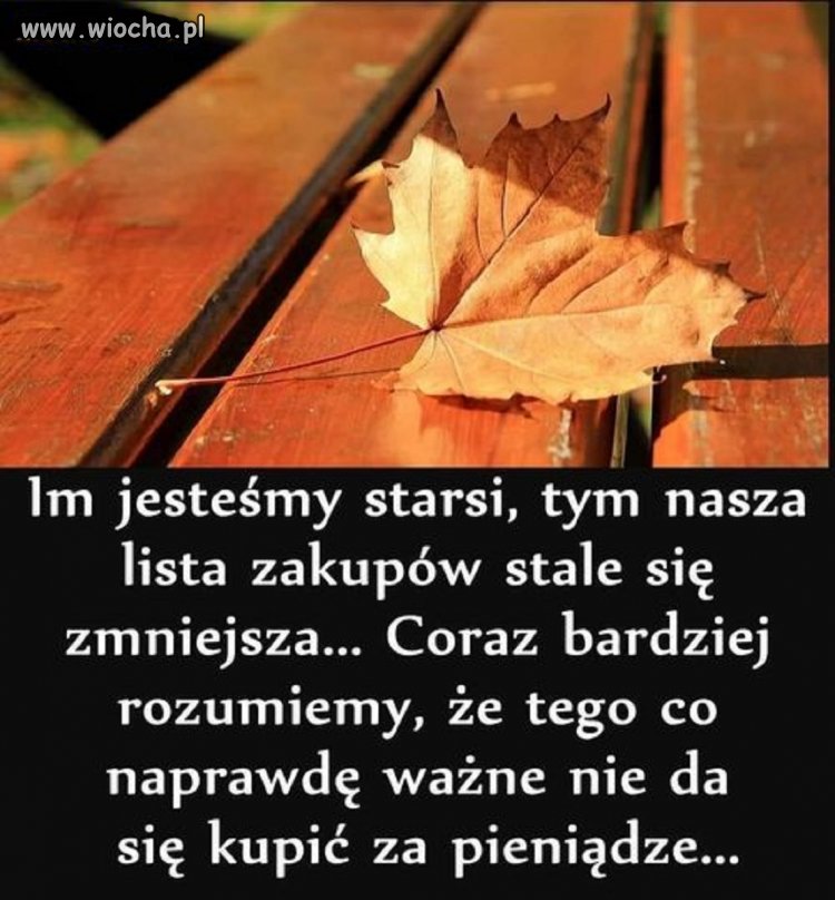 Zdecydowanie za późno to rozumiemy