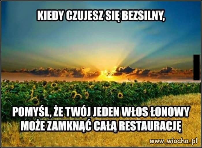 PiSu już właściwie nie ma ...