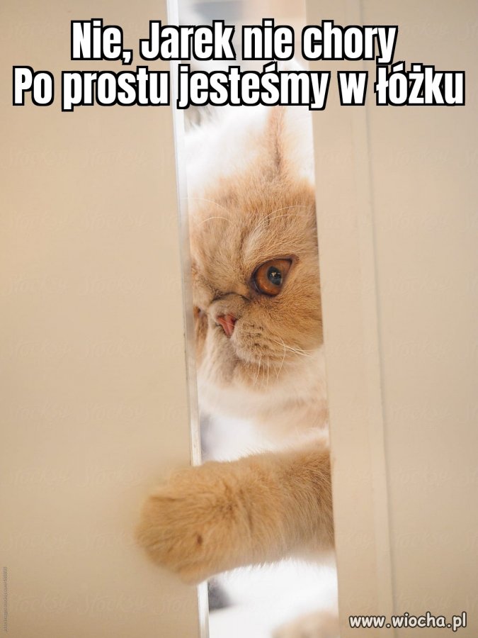 I nie przeszkadzać 