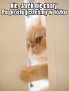 I nie przeszkadzać 